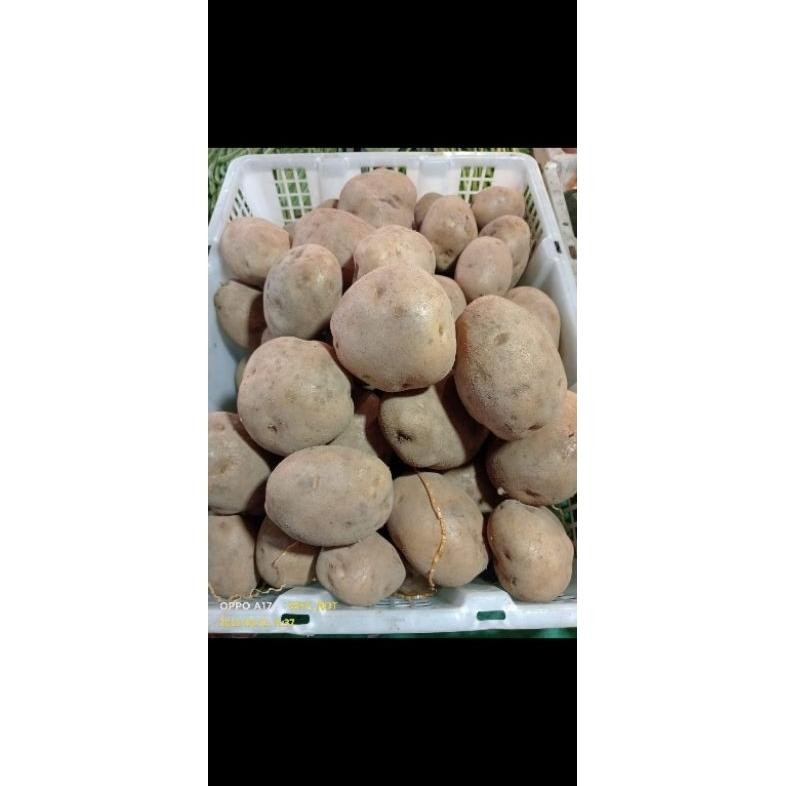 

kentang dieng 1 kg Ab aSt