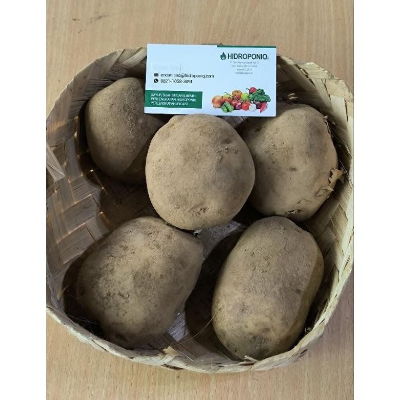 

Kentang Tess Besar Organik 1kg aSt