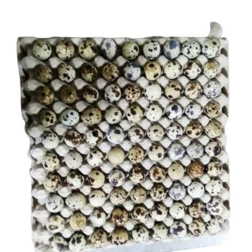 

TELUR PUYUH 90 BUTIR aSt