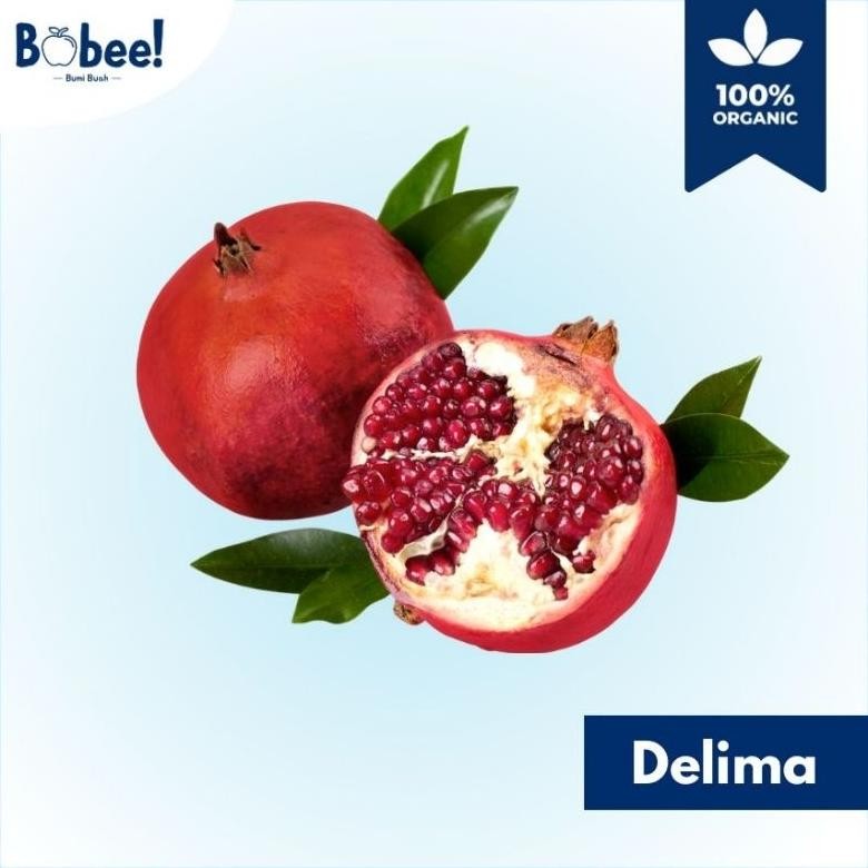 

Buah Delima (1 Buah) Import India I Fresh & Premium | Bobee.Official - (Seluruh Indonesia) aSt