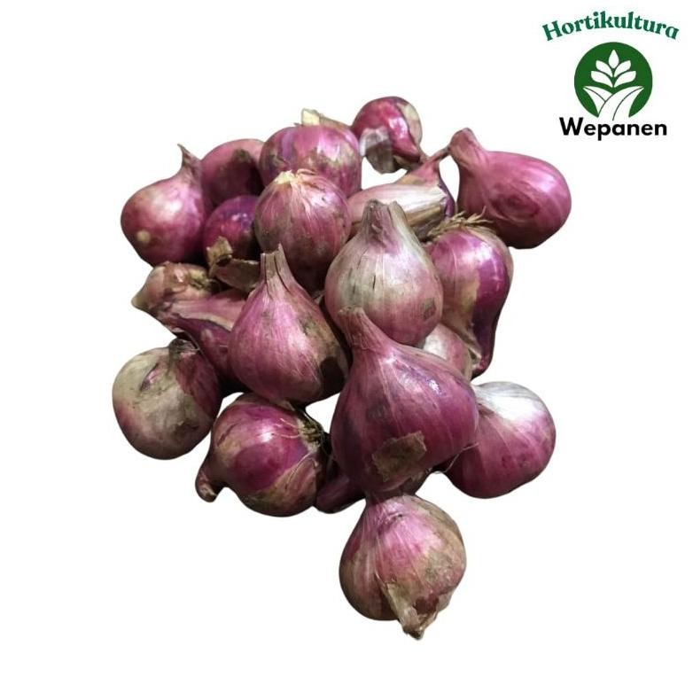 

Bawang Merah Brebes 1Kg Grade Campur Segar aSt