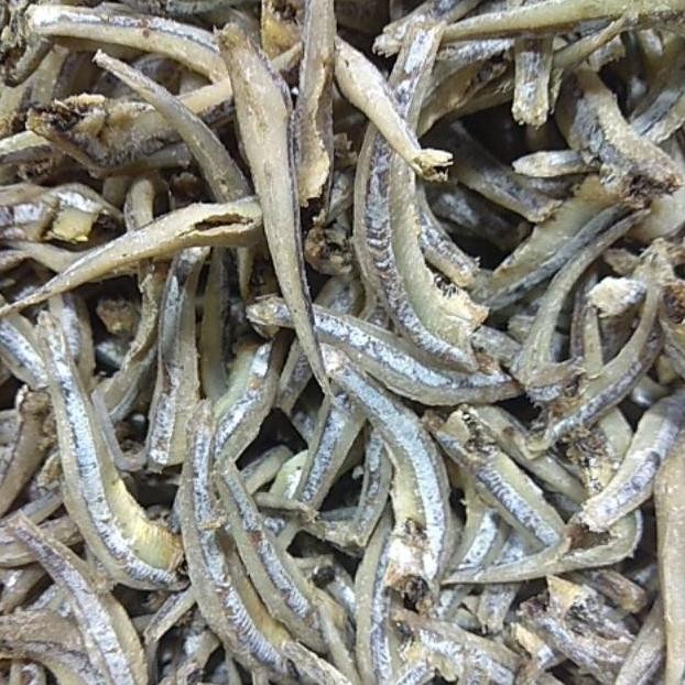 

Kz_12 Ikan Teri Jengki Bulat Medan ,Berat 250 Gram Ac-8