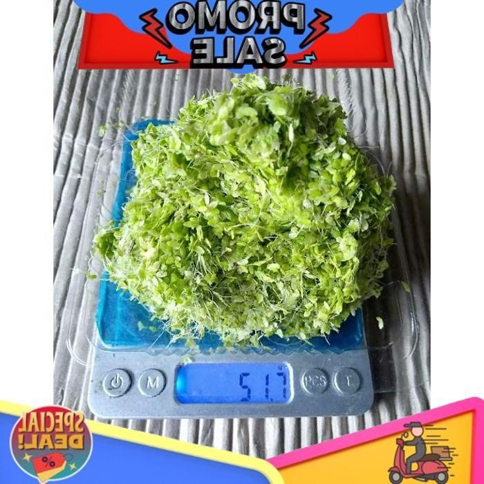 

Ready Stock Lemna / Mata Lele ( Protein 43% )