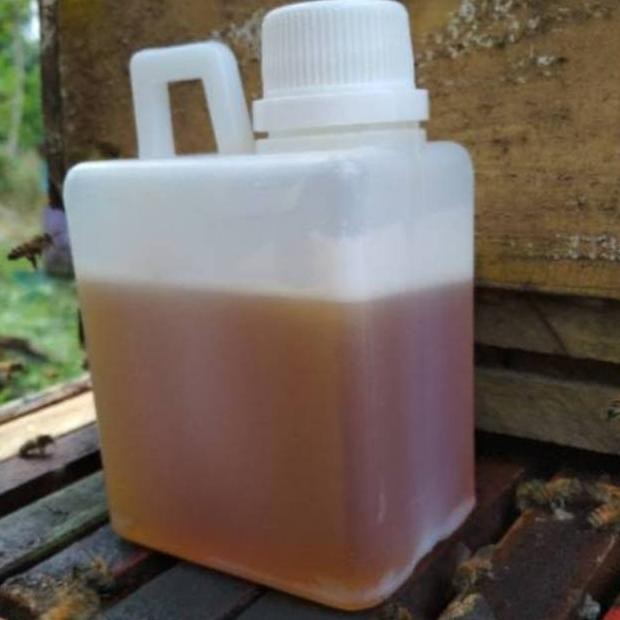 

(Terbaru) [500GR] Madu Peras, Madu Super Madu Asli Murni (Terlaris)