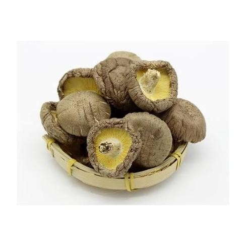 

Jamur Shitake Kering / Jamur Hioko / Shitake Kualitas Terbaik Harga Termurah