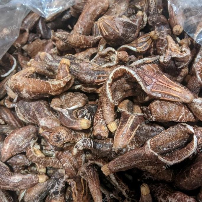 

(Allthebest) kerupuk teripang khas surabaya murah kemasan 100g