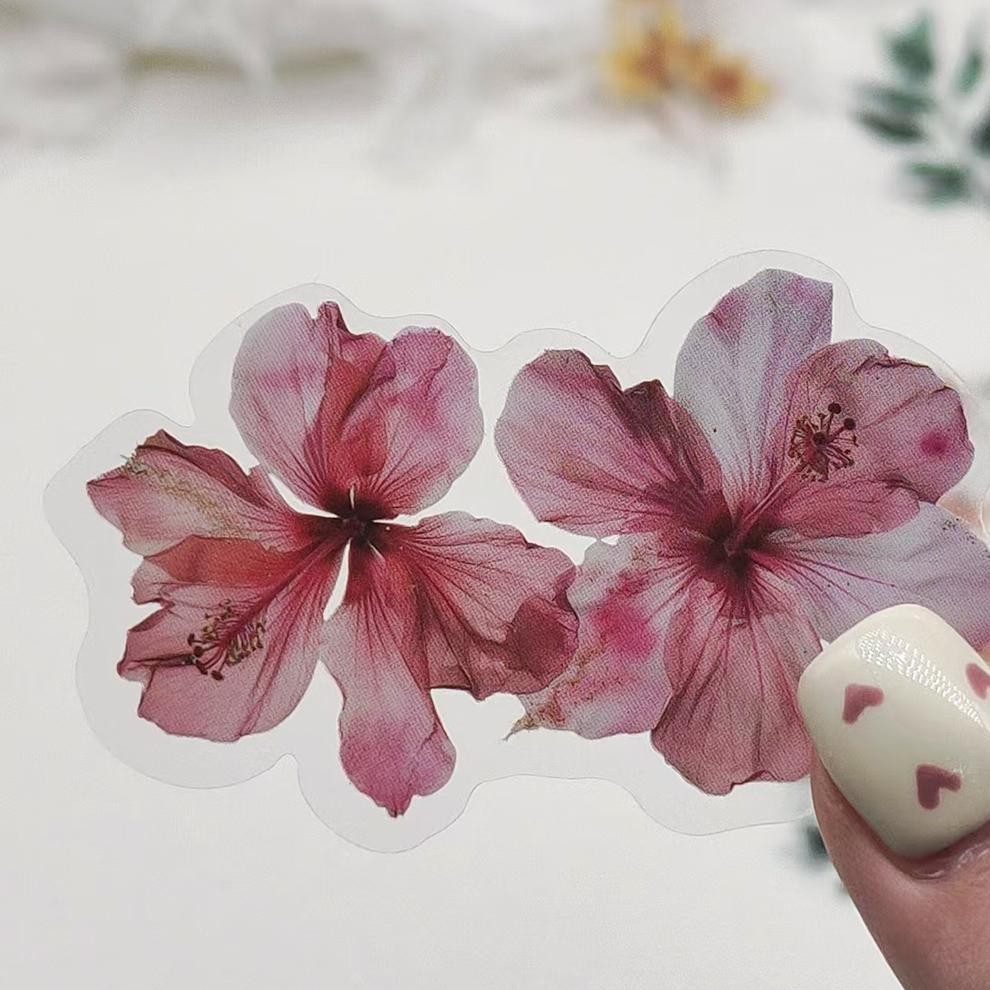 

Stiker Set Stiker Paket 50PCS New transparan Bunga Stiker lucu Stiker PET Anti Air Stikers Berperekat Waterproof sticker decal buat Motor Helm Buku Journal Koper Casing HP Laptop Botol Minum NV-52