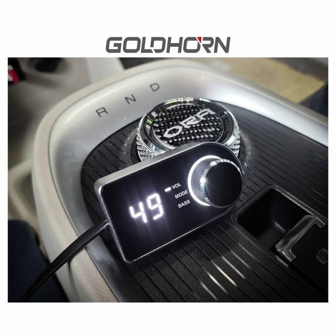 Goldhorn DSP Controller