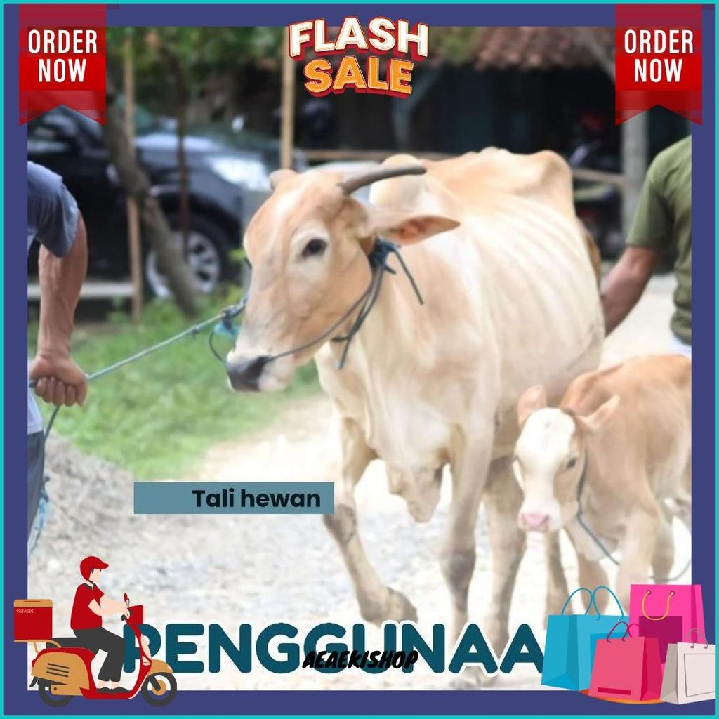 

Tali Tampar Ukuran 2Mm Panjang 220 Meter Cod