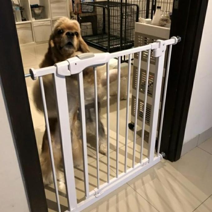 Pagar Anjing Kucing / Pagar Pembatas / Pagar Penghalang / Fence Anjing