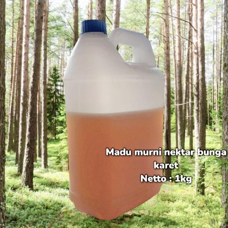 

(Terbaru) Grosir 5kg madu murni nektar bunga karet (Terlaris)