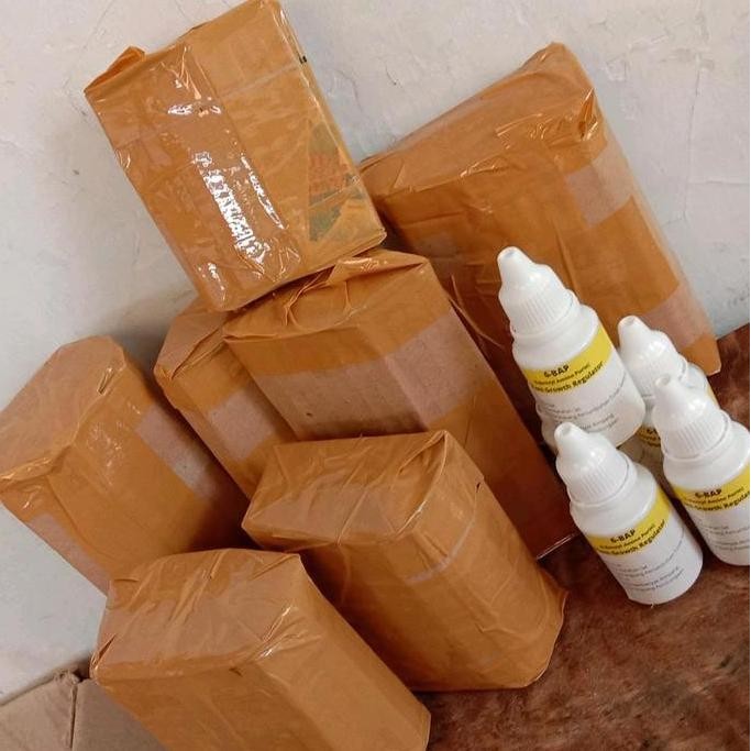 

Paket 3 Botol Bap - Hormon Tanaman Bunga Anggrek