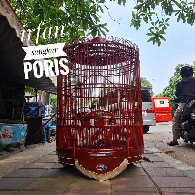 TERLARIS - rafi jaya reborn no2