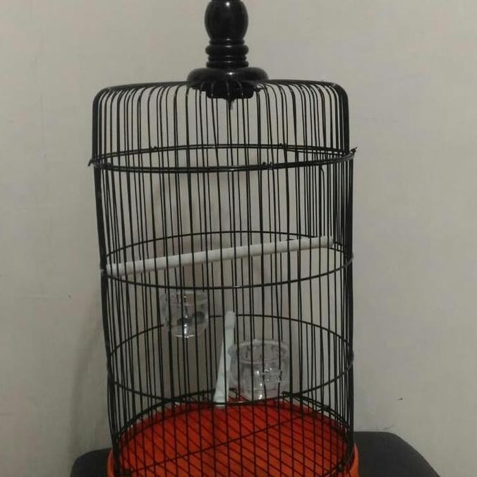 BEBAS ONGKIR - Sangkar pleci sangkar kecil sangkar bulat sangkar besi