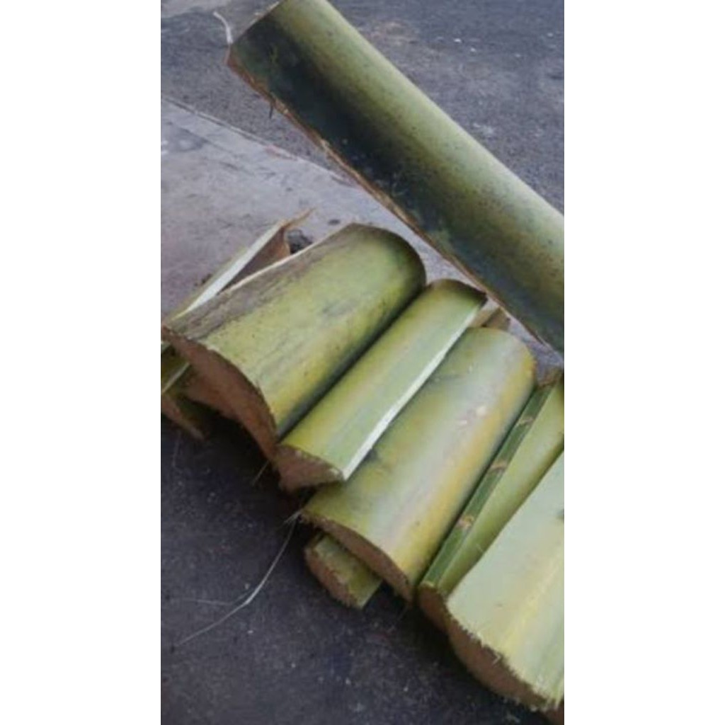 

Pelepah Kelapa Basah Utuh Per batang UK 20 cm