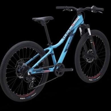 TERBARU - Sepeda Gunung MTB Remaja Polygon Relic 24