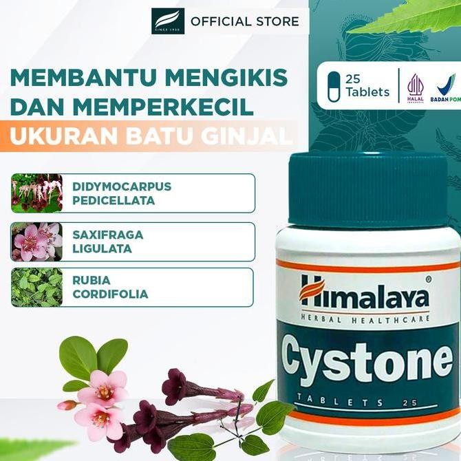 Himalaya Cystone Tablet 25'S | Terapi Kesehatan Ginjal | Bantu Mencegah & Mengobati Batu Ginjal