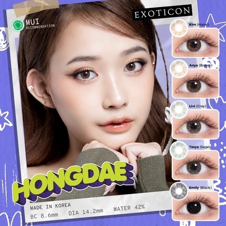 Softlens X2 HONGDAE 14.2 MM by EXOTICON / Softlen Soflen Warna Normal