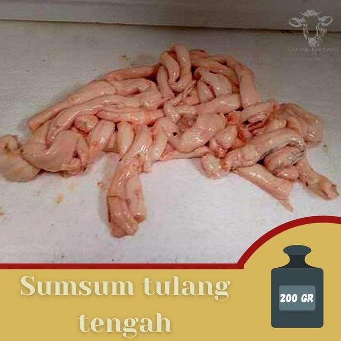 

JH8 sum-sum tulang tengah sapi || daging kandang