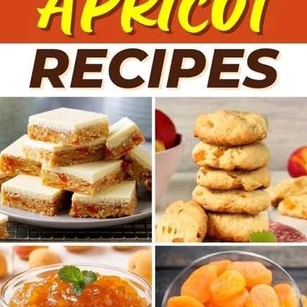 

JH8 BUAH APRIKOT KERING 50GR APRICOT ORGANIK DRIED DRY AFRIKOT AFRICOT PRUNUS APRIKOSEN KHUBANI CHAMOY