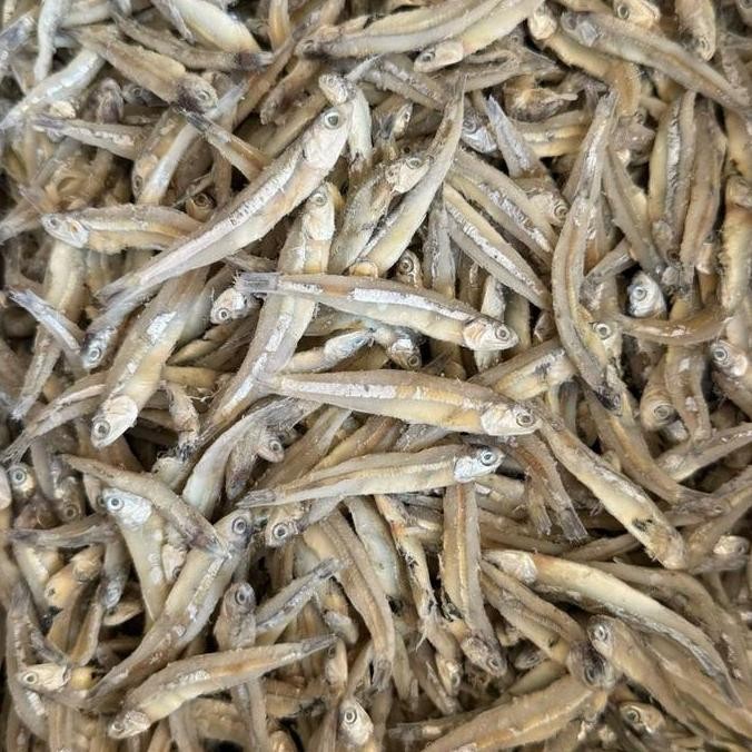 

JH8 PROMO 500 GR TERI JENGKI (SETENGAH KERING) ASIN GURIH ENAK