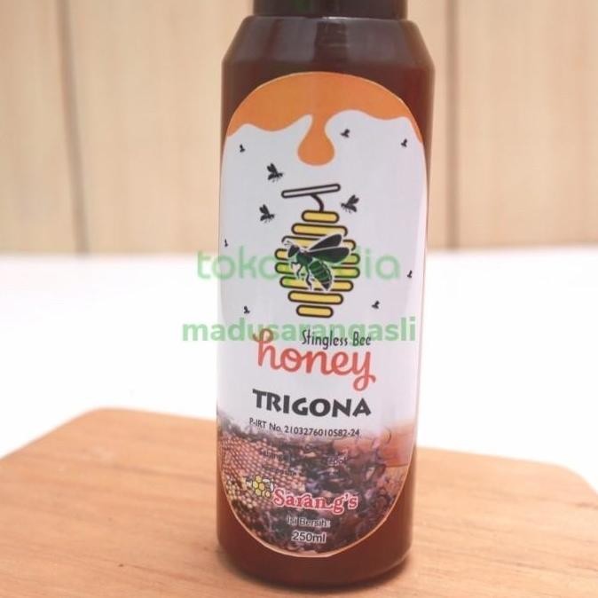 

NEW Madu Kelanceng Trigona Kelulut Liar Asli Murni obati asam Lambung 300g READY
