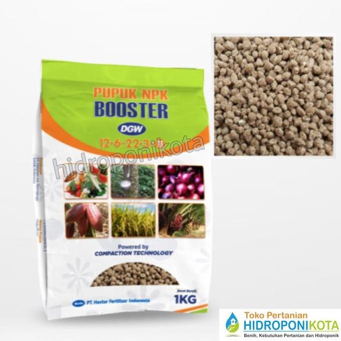 Dgw - Pupuk Npk 12 6 22 3 +Te Booster 1 Kg - Npk Booster - Pupuk Buah