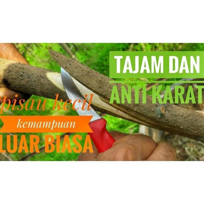 Pisau Original victorinox grafting stek okulasi cangkok sambung pucuk