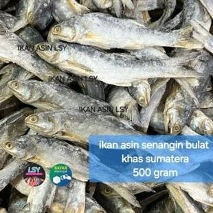 

Ikan Asin Senangin Bulat Khas Sumatera 500Gram