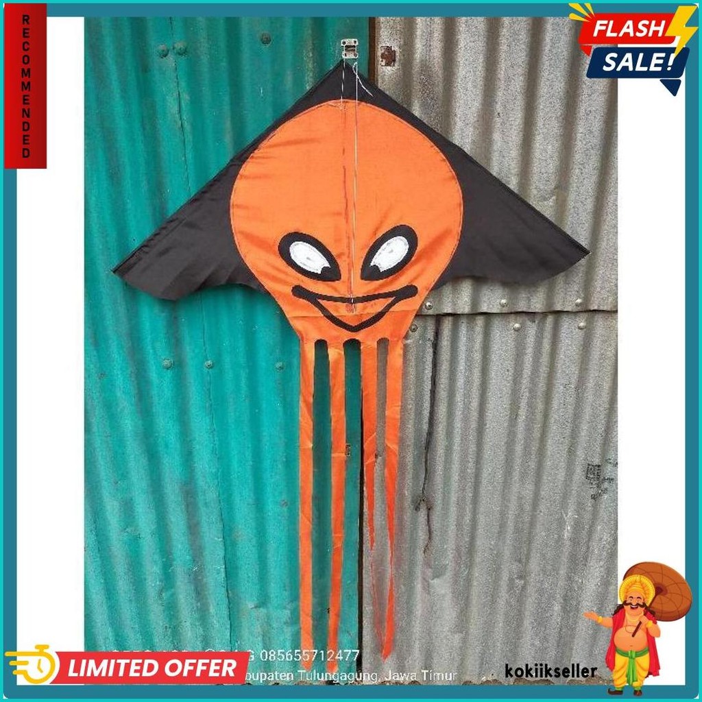 Layangan Hias/Layangan Kain/Layangan Ikan Diskon Setengah Harga