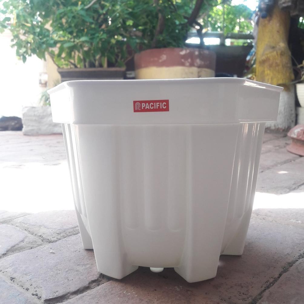 Pot Pacific Segi Enam 17 Hexa Putih/ Pot Hexa 17 Baru