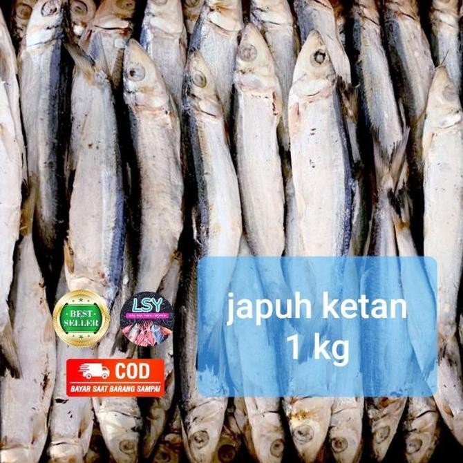 

Ikan Asin Japuh Ketan 1Kg