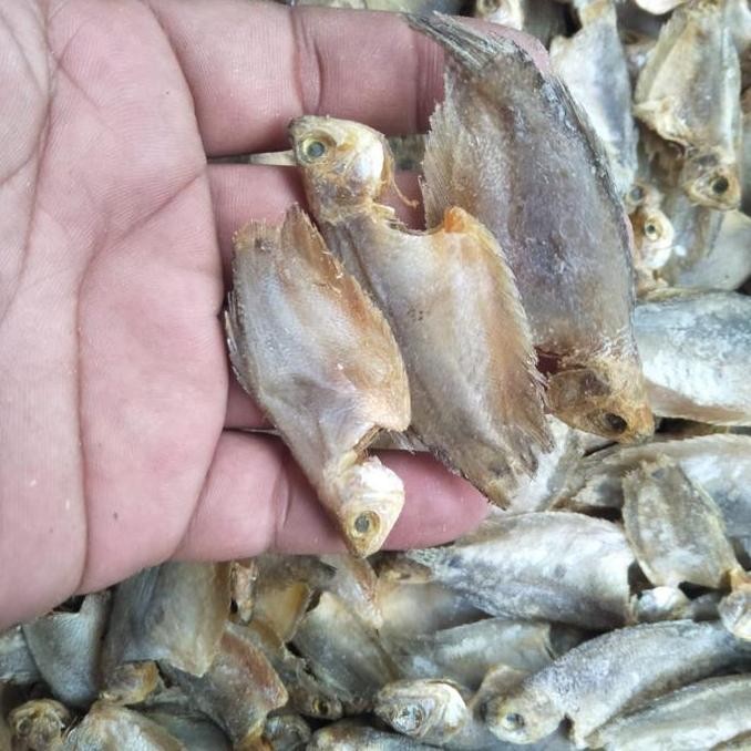

Ikan Asin Sepat Kecil / Betok 500 Gr