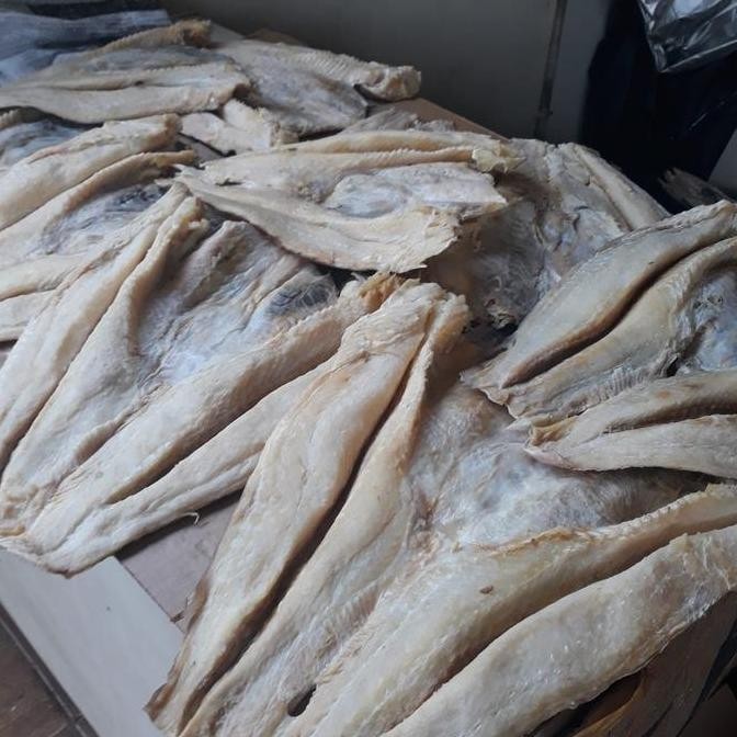 

Ikan Asin Jambal Roti 1 Kg Grade A Cap Toke Bagan Siapi Api