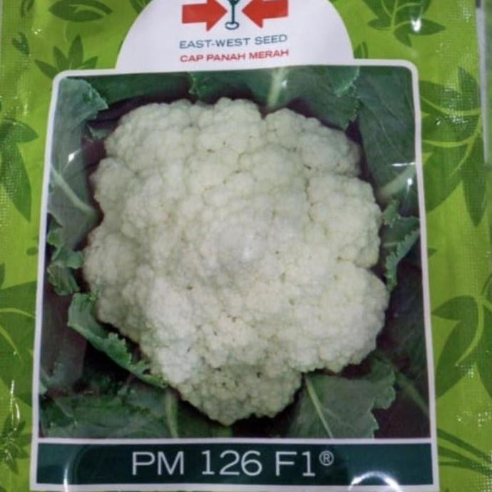 Promo Benih bunga kol PM126 F1 10 gram bungkul hibrida pm 126 panah merah kembang kol pm126 f1 COD