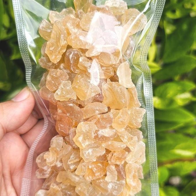 

Snow Bird Nest 100gr / 500gr - XueYan - GumTragacanth