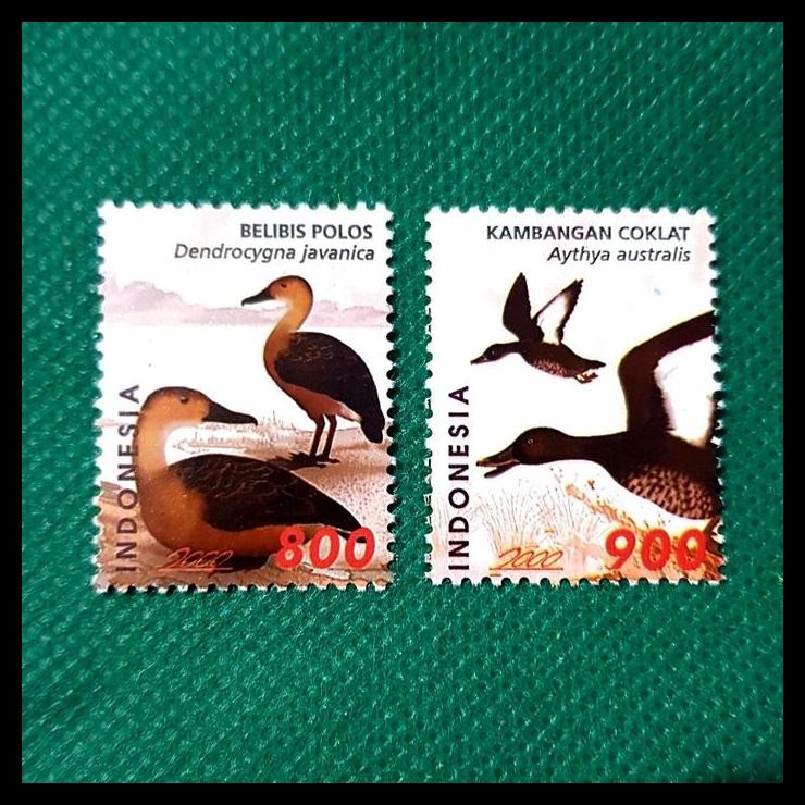 

TERMURAH PRANGKO INDONESIA TH 2000. BEBEK : BELIBIS POLOS & KAMBANGAN COKLAT !!!!