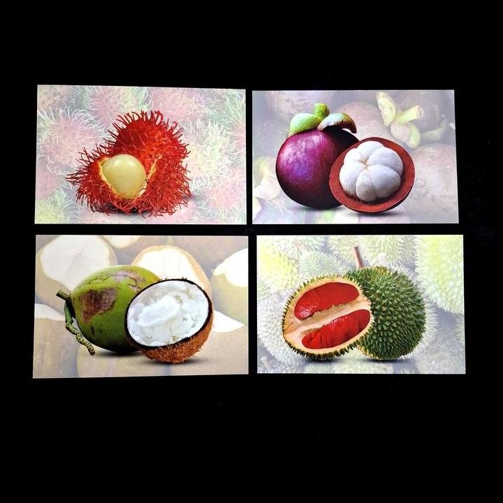 

HOT DEAL PRANGKO INDONESIA 2017. KARTUPOS POSTCARD SERI BUAH NUSANTARA. BUAH RAMBUTAN, BUAH MANGGIS, BUAH KELAPA KOPYOR DAN BUAH DURIAN MERAH (SET 4 LEMBAR) !!!!!!