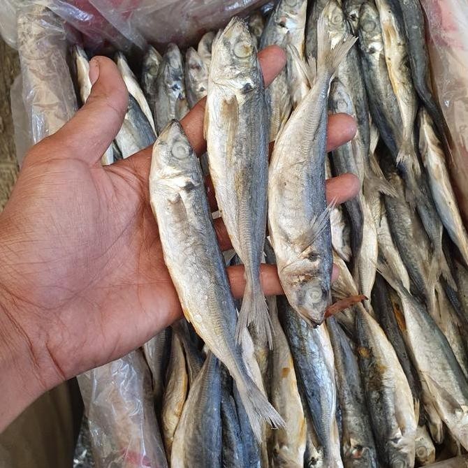 

Ikan Asin Layang 1Kg
