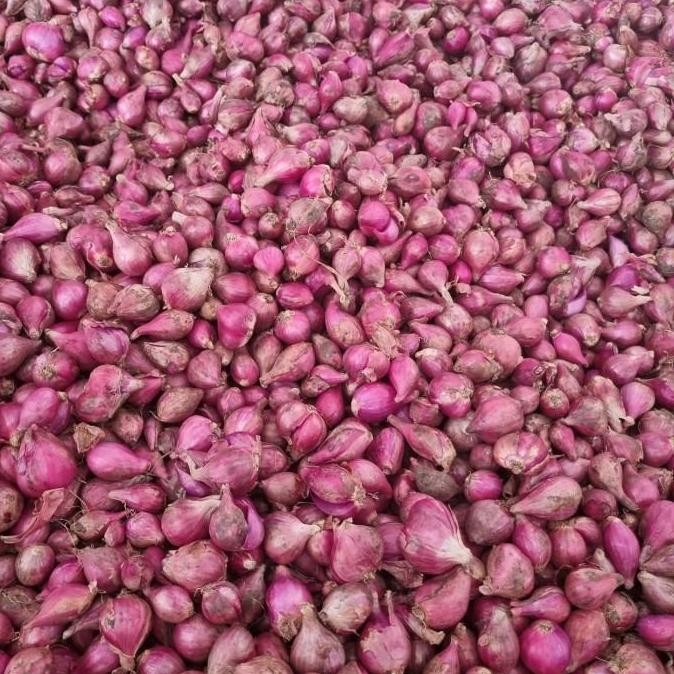 

Bawang Merah Brebes 500Gr