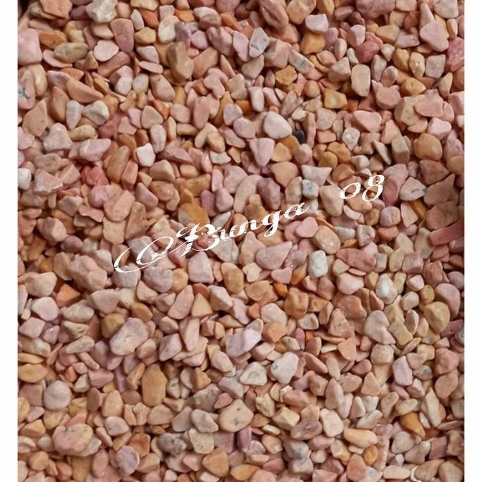 BATU KORAL KECIL / BATU KERIKIL MERAH / BATU HIAS TAMAN AQUARIUM 1KG