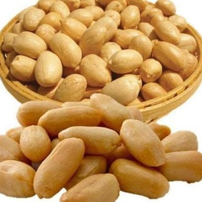 

Kacang Panggang 1Kg Kacang Oven Bawang Roasted Peanuts Rd Sna