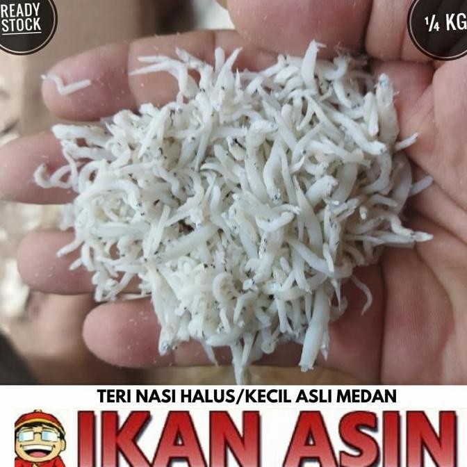 Ikan Asin TERI NASI MEDAN 250 gr Cap TOKE BAGAN SIAPI API