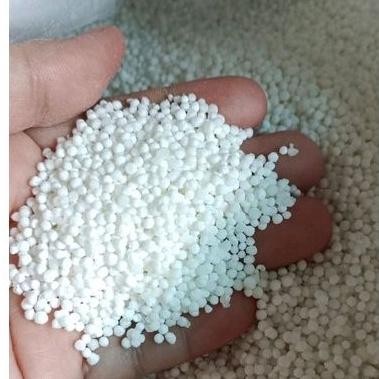 

FM Sagu Mutiara Thailand Kecil 500gr Putih Asli