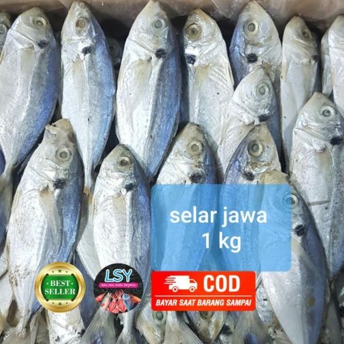 

ikan asin selar size jumbo 1kg