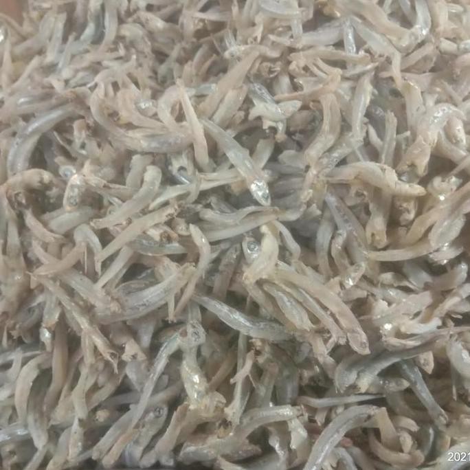 

ikan asin teri tn lampung/super kering/tanpa bubuk/empuk/ garing/ 1 kg