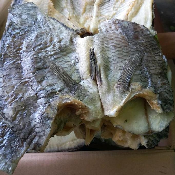 

IKAN ASIN NILA TOBA UKURAN BESAR KERING KHAS MEDAN GURIH
