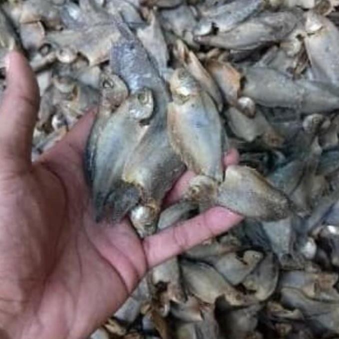 

SALE TERLARIS IKAN ASIN SEPAT KECIL 1KG READYY