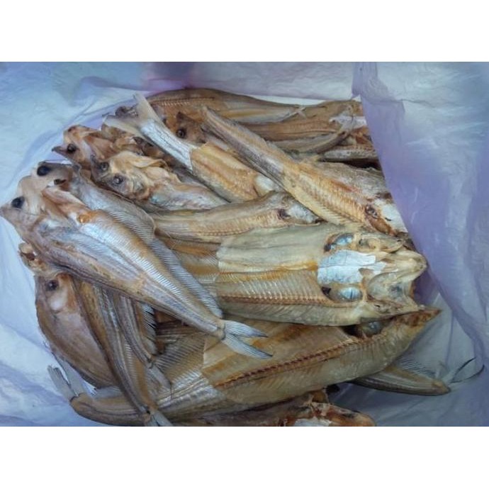 

Ready Siap Kirim!! Ikan Asin Lais Tembiring