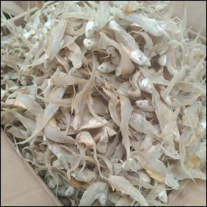 

Terlaris Ikan asin bulu ayam 500gr/ikan asin bulu ayam 1kg Best Seller